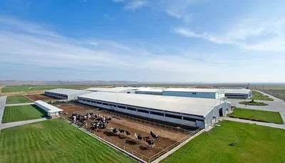 Ingeniería Pecuaria