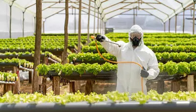 Comercialización de Insumos