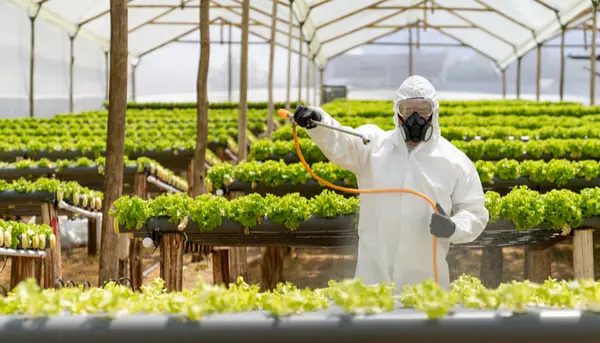 Comercialización de Insumos